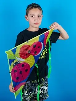 Воздушный Змей для ребенка большой Божья коровка фото 7