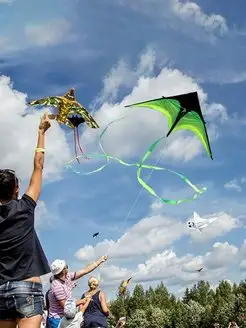 Воздушный змей большой 1,6 метра фото 7