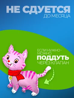 Шары фольгированные для девочки воздушные для фотозоны фото 4