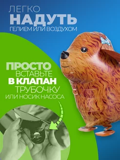 Фольгированные воздушные шары фотозона на день рождения фото 2