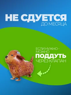 Фольгированные воздушные шары фотозона на день рождения фото 3