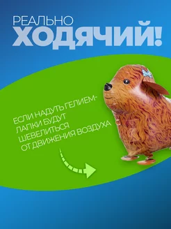 Фольгированные воздушные шары фотозона на день рождения фото 4