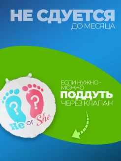 Гендер пати фотозона фольгированные шары мальчик девочка фото 3