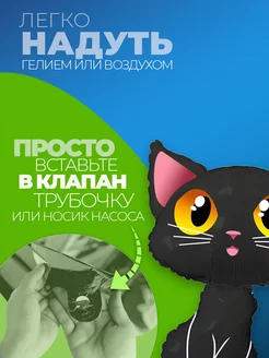 Воздушные шарики котенок фото 2
