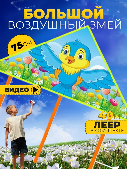 Воздушный Змей для ребенка большой