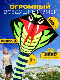 Запуск воздушного змея: польза для ребенка, которую видно уже в первые выходные