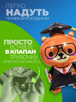 Шары на выпускной Медведь фото 2