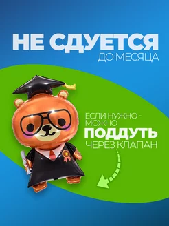 Шары на выпускной Медведь фото 3