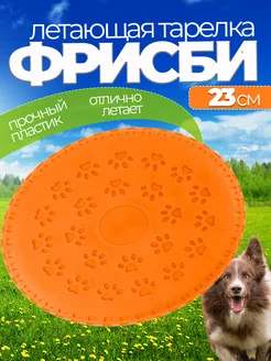 Тарелка-фрисби для собаки средней породы: критерии выбора для безопасной игры