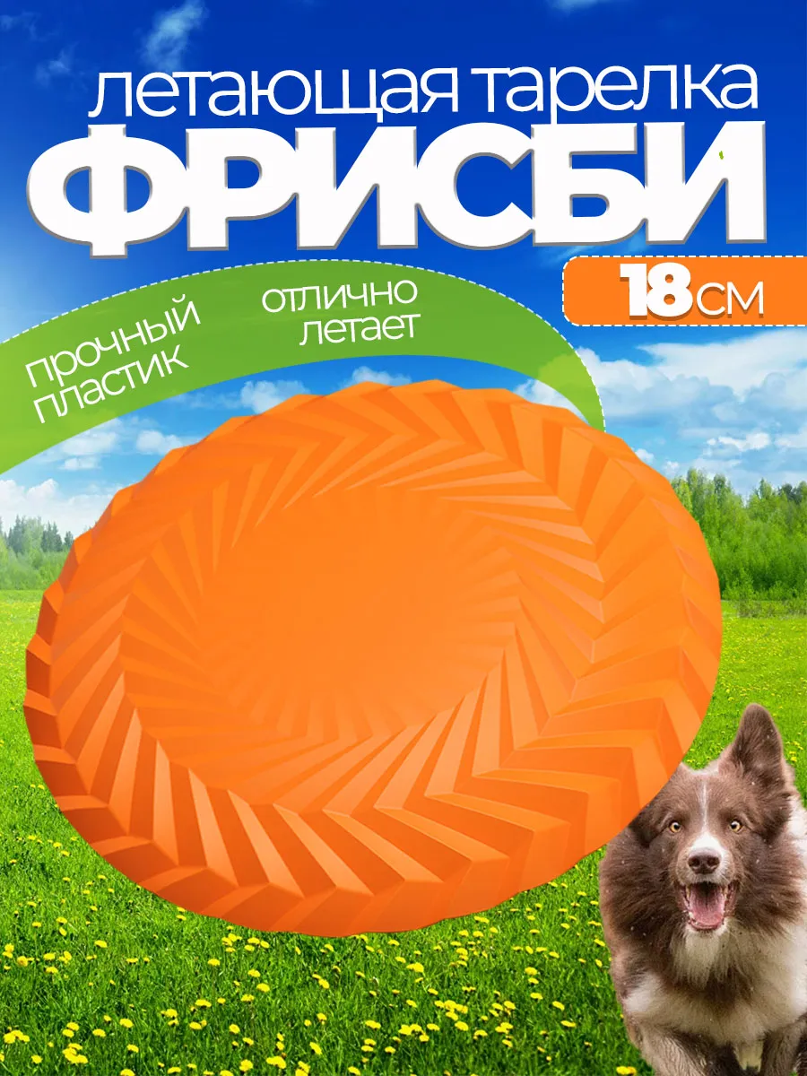 Игры с собачьим фрисби на пляже и в парке: где безопаснее и как организовать