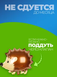 Фольгированные воздушные шары фотозона на день рождения фото 3