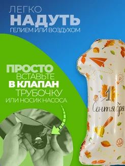 Шарик Цифра 1 фото 2