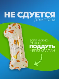 Шарик Цифра 1 фото 3