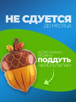 Шары на выпускной Желудь осенний фото 3
