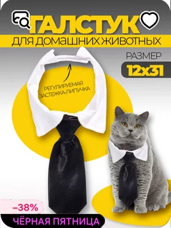 Ошейник с галстуком для животных