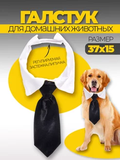 Ошейник с галстуком для животных