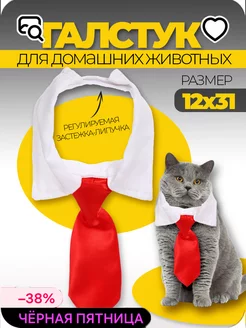 Ошейник с галстуком для животных