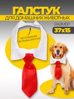 Ошейник с галстуком для животных