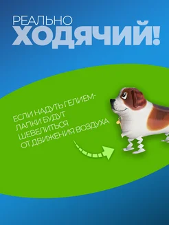Шарики воздушные ходячие Собачка фото 4