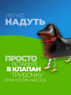 Шарики воздушные ходячие Собачка фото 2