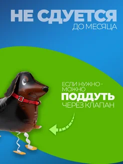 Шарики воздушные ходячие Собачка фото 3
