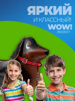 Шарики воздушные ходячие Собачка фото 4