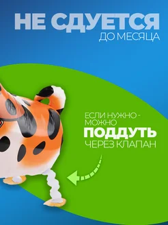 Шарики воздушные ходячие Собачка фото 3