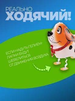 Шарики воздушные ходячие Собачка фото 5