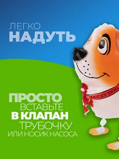 Шарики воздушные ходячие Собачки набор фото 5