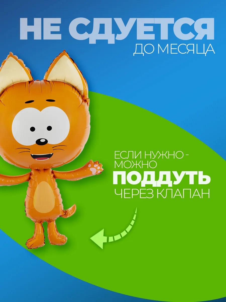 Шарики воздушные для праздника Котэ фото 3