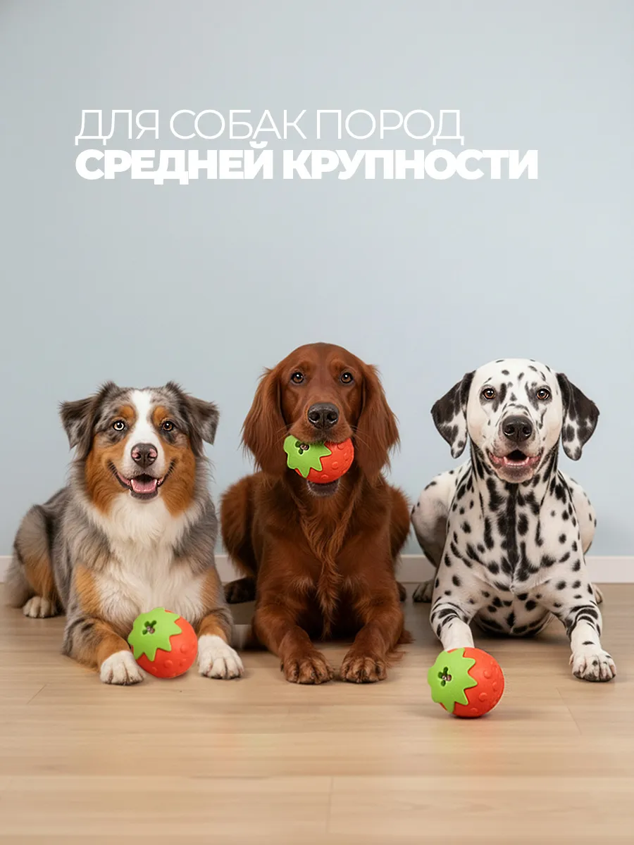 Игрушка кормушка для собак головоломка фото 3