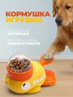 Кормление без скуки: когда миска надоела, а энергия у собаки через край