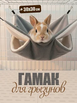 Уют в клетке: выбор гамака для грызунов и реальные задачи