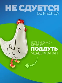 Набор шаров Ходячая курица 5 шт фото 3